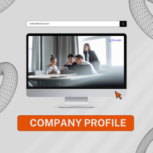 COMPANY PROFILE - service website